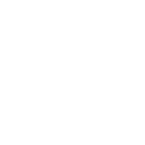 François-Xavier Elegant Magic Artistry logo in white on a transparent background
