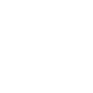 François-Xavier Elegant Magic Artistry monogram in white on a transparent background